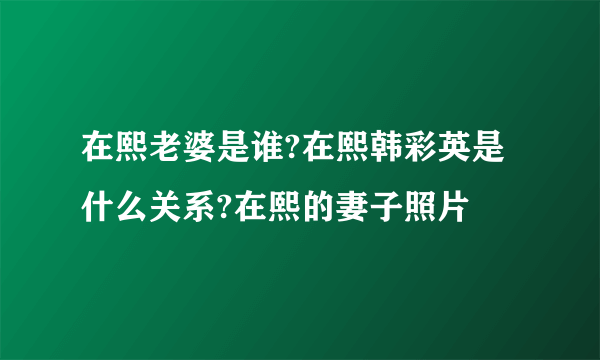 在熙老婆是谁?在熙韩彩英是什么关系?在熙的妻子照片