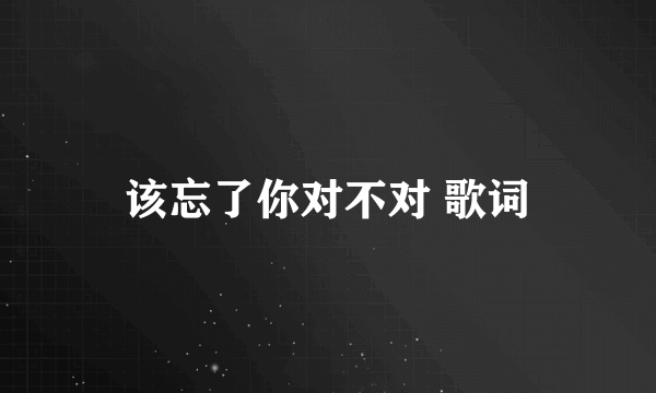 该忘了你对不对 歌词