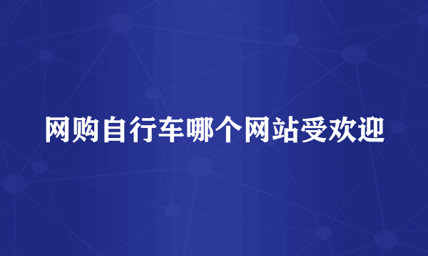 网购自行车哪个网站受欢迎