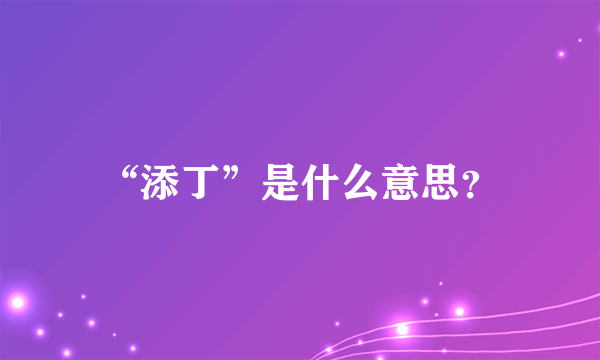 “添丁”是什么意思？