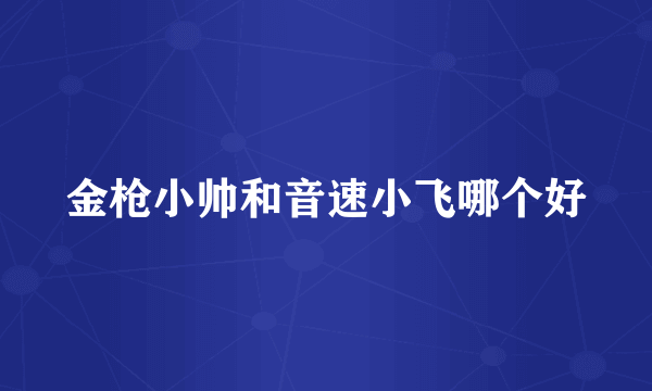 金枪小帅和音速小飞哪个好