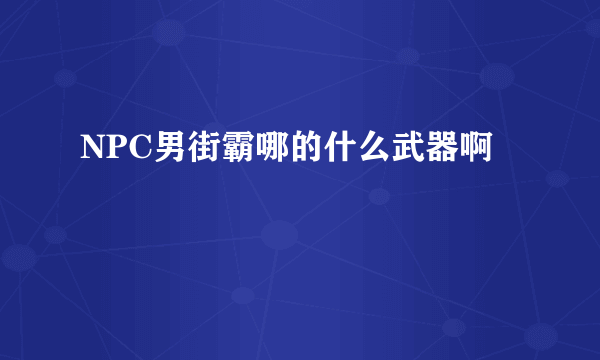 NPC男街霸哪的什么武器啊