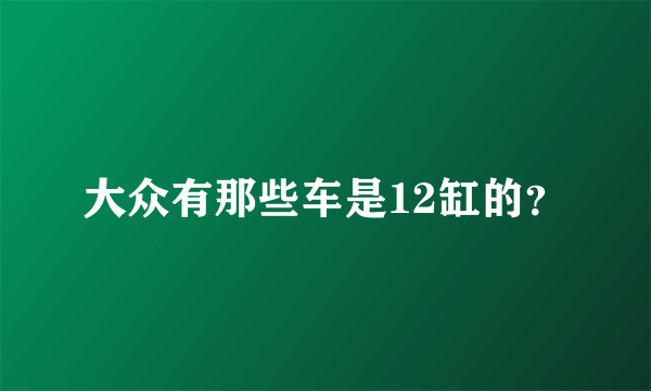 大众有那些车是12缸的？