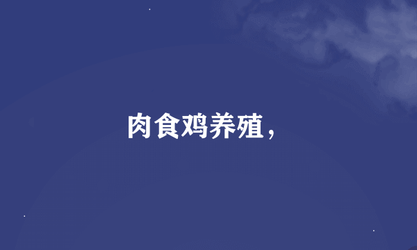 肉食鸡养殖，
