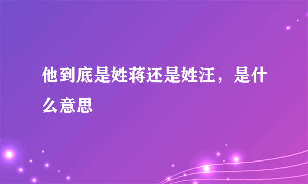 他到底是姓蒋还是姓汪，是什么意思