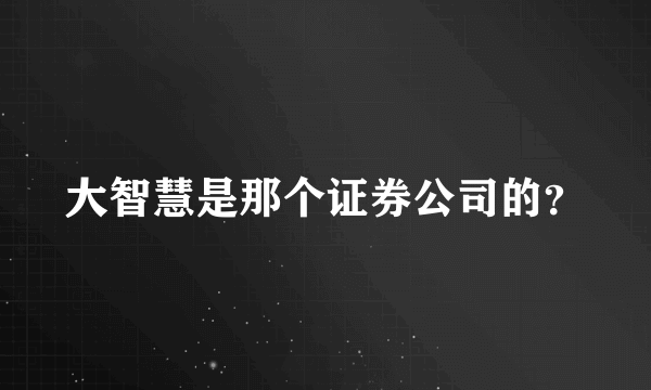 大智慧是那个证券公司的？