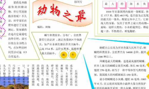 电子报刊的格式