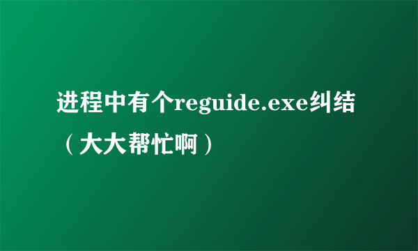 进程中有个reguide.exe纠结（大大帮忙啊）