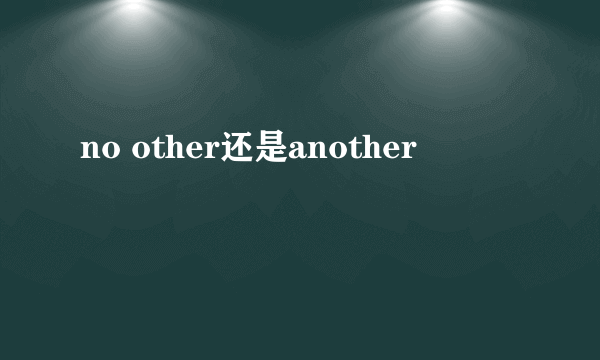no other还是another