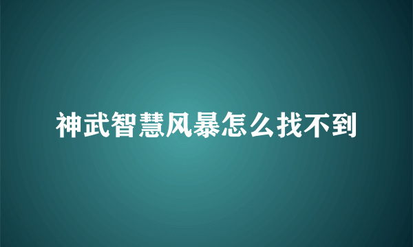 神武智慧风暴怎么找不到