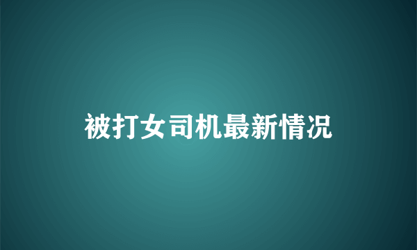 被打女司机最新情况
