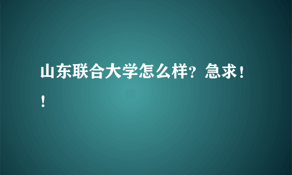 山东联合大学怎么样？急求！！