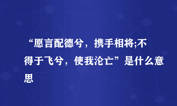 “愿言配德兮，携手相将;不得于飞兮，使我沦亡”是什么意思