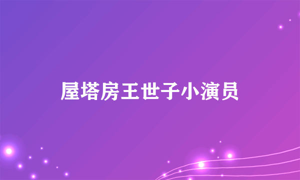 屋塔房王世子小演员