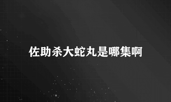佐助杀大蛇丸是哪集啊