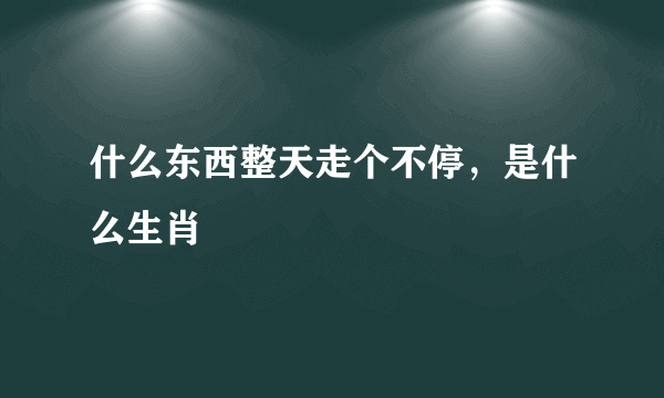 什么东西整天走个不停，是什么生肖