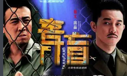 《青盲》中的小猫听说是假的？
