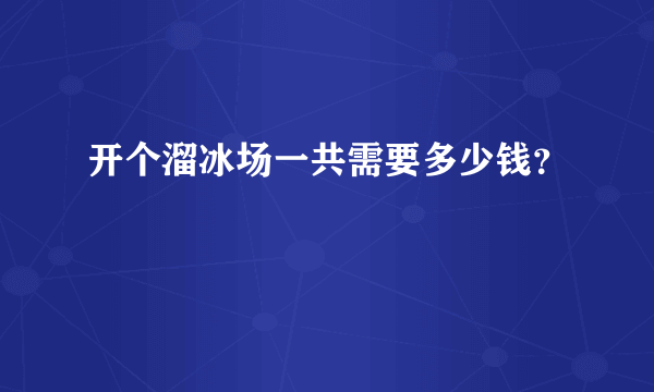 开个溜冰场一共需要多少钱？