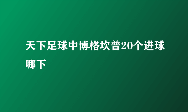 天下足球中博格坎普20个进球哪下