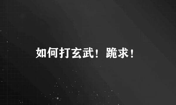 如何打玄武！跪求！
