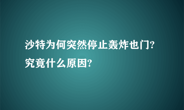 沙特为何突然停止轰炸也门?究竟什么原因?