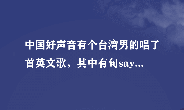 中国好声音有个台湾男的唱了首英文歌，其中有句say good bye，声音很高，是叫什么歌啊，求解