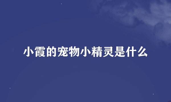 小霞的宠物小精灵是什么