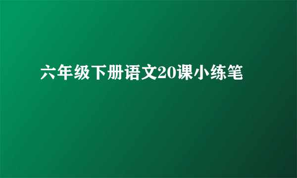 六年级下册语文20课小练笔