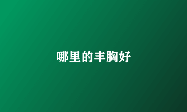 哪里的丰胸好