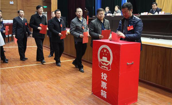 我国公民政治参与的主要方式