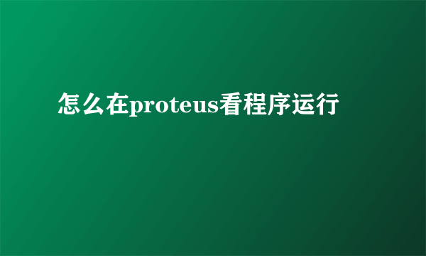 怎么在proteus看程序运行