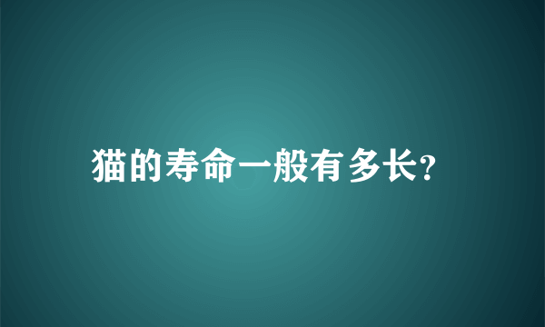 猫的寿命一般有多长？