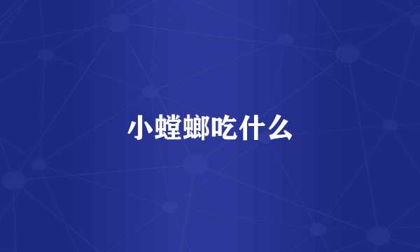 小螳螂吃什么