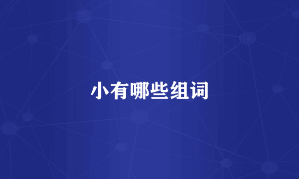 小有哪些组词