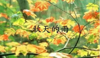 秋天的雨是什么意思