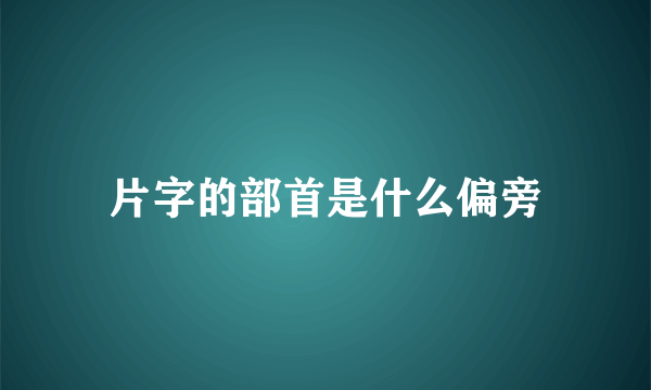 片字的部首是什么偏旁