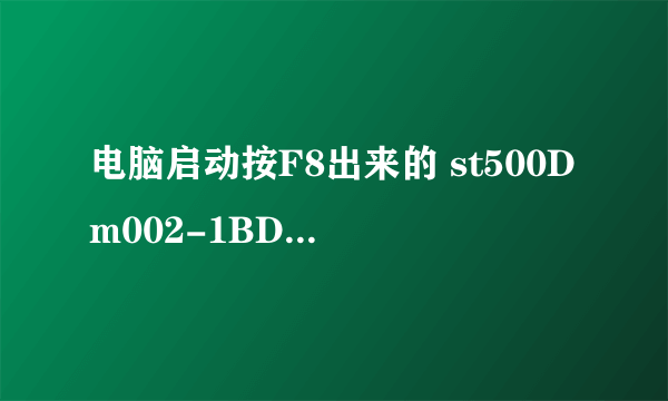 电脑启动按F8出来的 st500Dm002-1BD142是什么