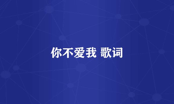 你不爱我 歌词