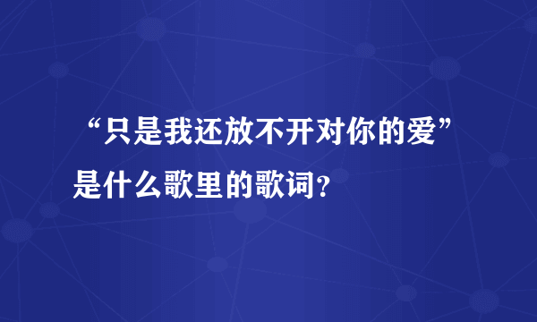 “只是我还放不开对你的爱”是什么歌里的歌词？