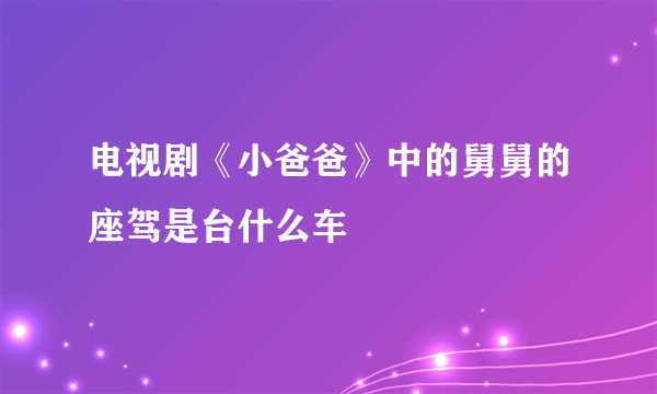 电视剧《小爸爸》中的舅舅的座驾是台什么车