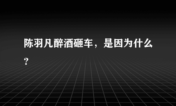 陈羽凡醉酒砸车，是因为什么？
