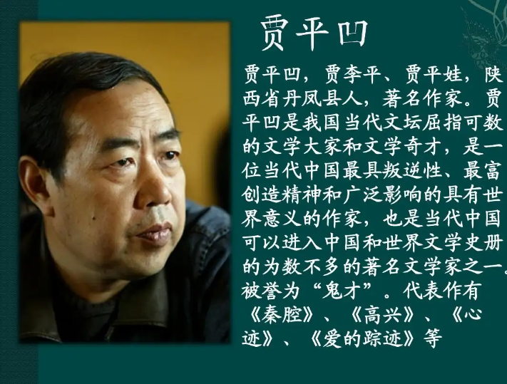 贾平凹小说的特点
