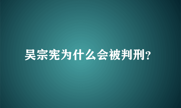 吴宗宪为什么会被判刑？