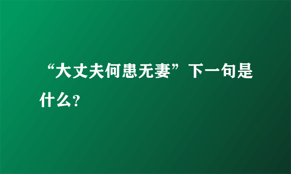 “大丈夫何患无妻”下一句是什么？