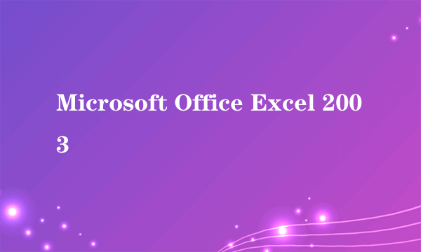 Microsoft Office Excel 2003