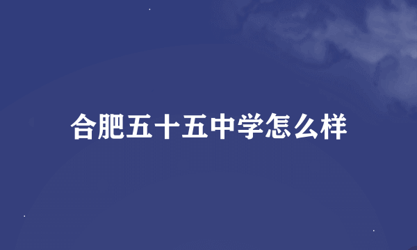 合肥五十五中学怎么样