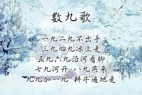 五九是指哪几天？