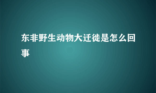 东非野生动物大迁徙是怎么回事
