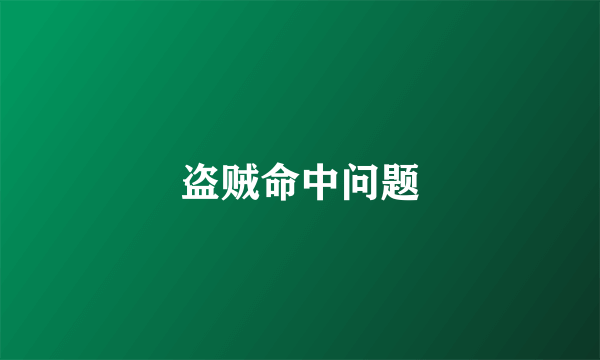 盗贼命中问题