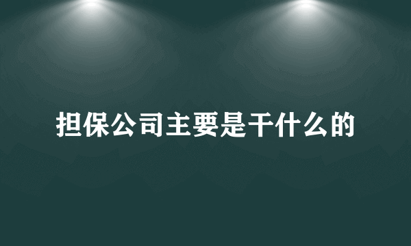 担保公司主要是干什么的